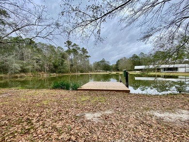 Located just outside the city limits, this home has had many - photo 48