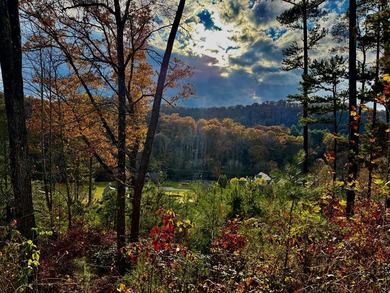 Tuckaseegee River Lot For Sale in Cullowhee North Carolina