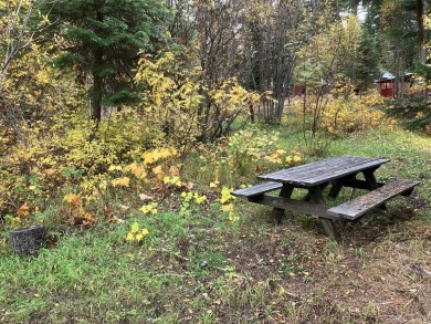 Lake Lot For Sale in Cascade, Idaho