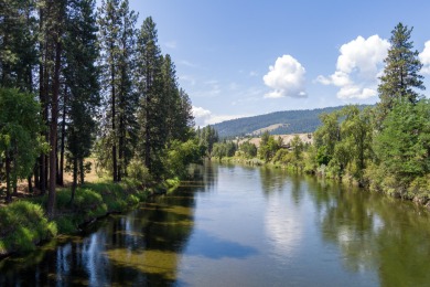Kettle River Acreage For Sale in Danville Washington