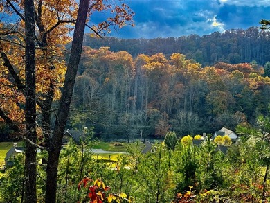 Build your mountain retreat in the highly sought-after Cullowhee - photo 7