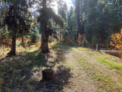 Lake Lot For Sale in Cascade, Idaho
