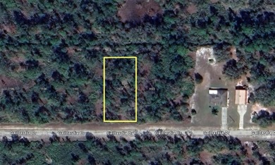 Lake Weohyakapka (Lake Walk-In-Water) Lot For Sale in Indian Lake Estates Florida