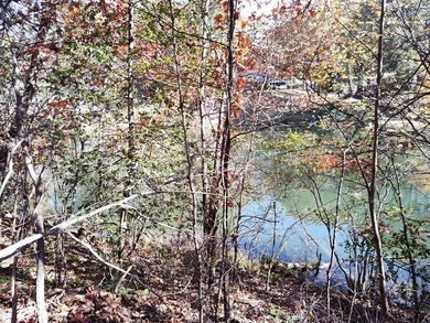 (private lake, pond, creek) Lot For Sale in Franklin North Carolina