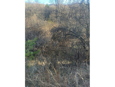 9* Acres - GPS coordinates for the front of the property are - photo 11