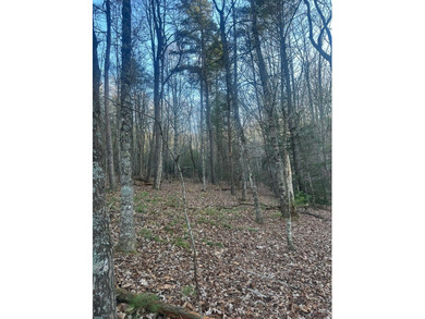 9* Acres - GPS coordinates for the front of the property are - photo 12