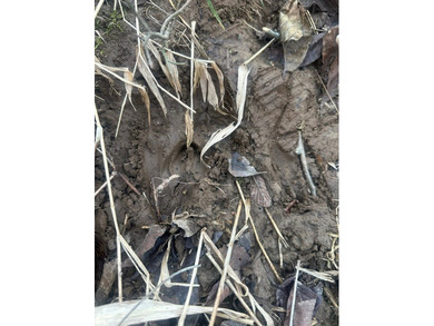 9* Acres - GPS coordinates for the front of the property are - photo 13