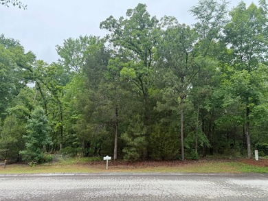 Discover the perfect canvas for your dream lakefront retreat in - photo 3