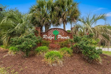 Warm, open, functional. The heart of this home is the inviting - photo 44