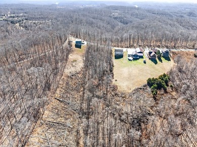Dale Hollow Lake view lot just a few minutes to Eagle Cove - photo 5