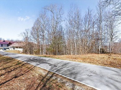 Dale Hollow Lake view lot just a few minutes to Eagle Cove - photo 9