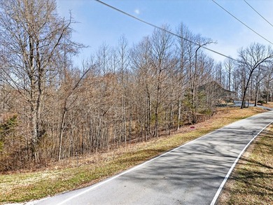 Dale Hollow Lake view lot just a few minutes to Eagle Cove - photo 10
