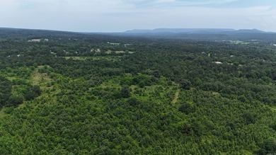 ract 1, 5+/- Acres Build Sites Near Shoal Bay Park Midwest Land - photo 17