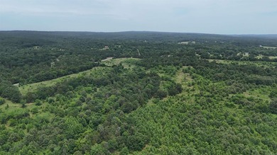 ract 1, 5+/- Acres Build Sites Near Shoal Bay Park Midwest Land - photo 18