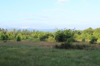 ract 1, 5+/- Acres Build Sites Near Shoal Bay Park Midwest Land - photo 19