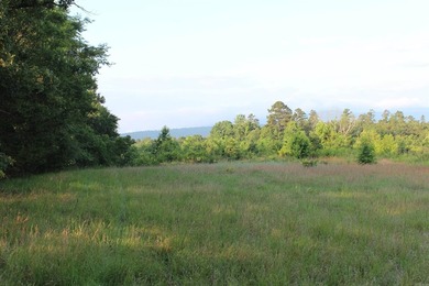 ract 1, 5+/- Acres Build Sites Near Shoal Bay Park Midwest Land - photo 20