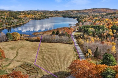 Fields Pond Acreage For Sale in Orrington Maine