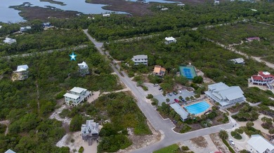 A slice of paradise in the highly coveted Plantation Community - photo 22