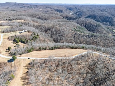 Discover 7 beautiful, partially cleared acres with breathtaking - photo 2