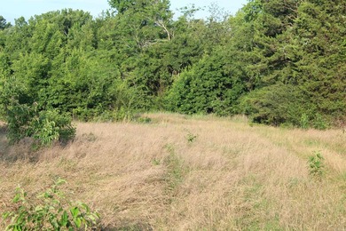 ract 1, 5+/- Acres Build Sites Near Shoal Bay Park Midwest Land - photo 23