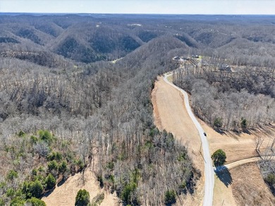 Discover 7 beautiful, partially cleared acres with breathtaking - photo 3