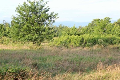 ract 1, 5+/- Acres Build Sites Near Shoal Bay Park Midwest Land - photo 24