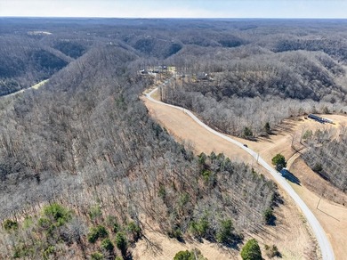 Discover 7 beautiful, partially cleared acres with breathtaking - photo 4