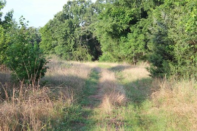 ract 1, 5+/- Acres Build Sites Near Shoal Bay Park Midwest Land - photo 25