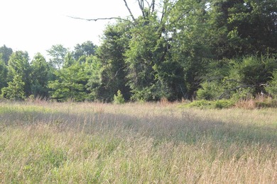 ract 1, 5+/- Acres Build Sites Near Shoal Bay Park Midwest Land - photo 26