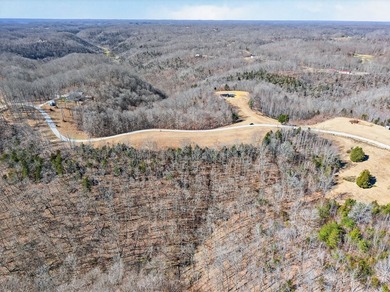 Discover 7 beautiful, partially cleared acres with breathtaking - photo 6