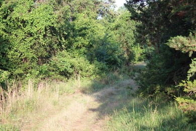 ract 1, 5+/- Acres Build Sites Near Shoal Bay Park Midwest Land - photo 27