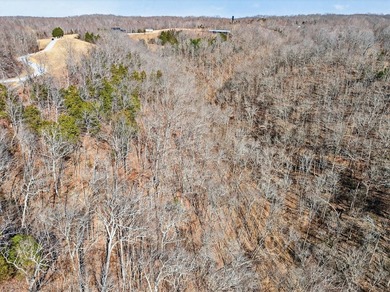 Discover 7 beautiful, partially cleared acres with breathtaking - photo 7