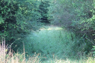 ract 1, 5+/- Acres Build Sites Near Shoal Bay Park Midwest Land - photo 28