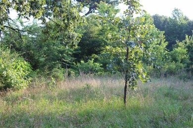 ract 1, 5+/- Acres Build Sites Near Shoal Bay Park Midwest Land - photo 29