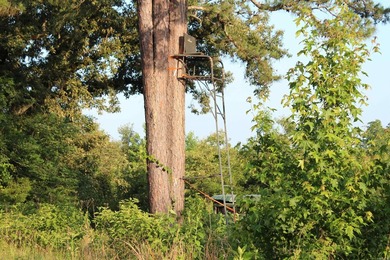 ract 1, 5+/- Acres Build Sites Near Shoal Bay Park Midwest Land - photo 30