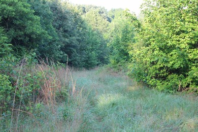 ract 1, 5+/- Acres Build Sites Near Shoal Bay Park Midwest Land - photo 31