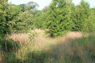 ract 1, 5+/- Acres Build Sites Near Shoal Bay Park Midwest Land - photo 32