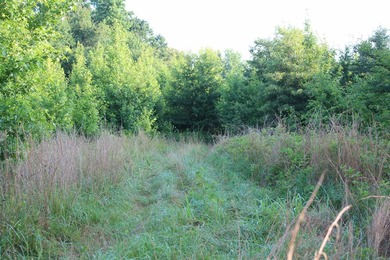 ract 1, 5+/- Acres Build Sites Near Shoal Bay Park Midwest Land - photo 34