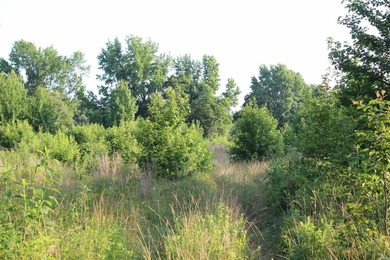 ract 1, 5+/- Acres Build Sites Near Shoal Bay Park Midwest Land - photo 35
