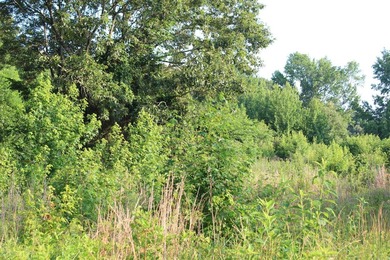 ract 1, 5+/- Acres Build Sites Near Shoal Bay Park Midwest Land - photo 36