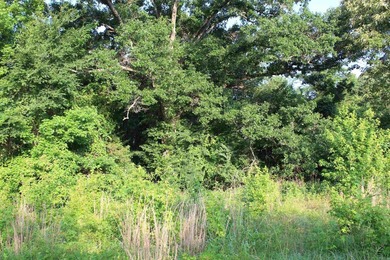 ract 1, 5+/- Acres Build Sites Near Shoal Bay Park Midwest Land - photo 37