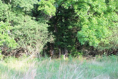 ract 1, 5+/- Acres Build Sites Near Shoal Bay Park Midwest Land - photo 38