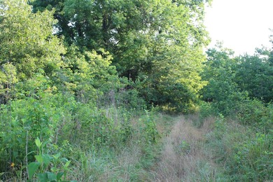 ract 1, 5+/- Acres Build Sites Near Shoal Bay Park Midwest Land - photo 39