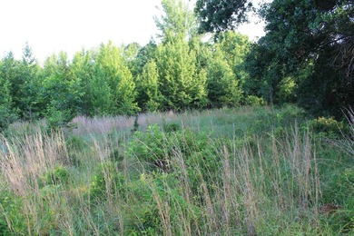 ract 1, 5+/- Acres Build Sites Near Shoal Bay Park Midwest Land - photo 40