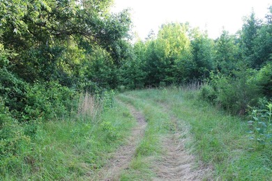 ract 1, 5+/- Acres Build Sites Near Shoal Bay Park Midwest Land - photo 41