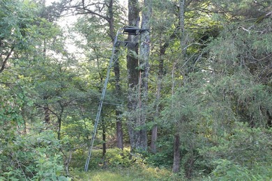 ract 1, 5+/- Acres Build Sites Near Shoal Bay Park Midwest Land - photo 43