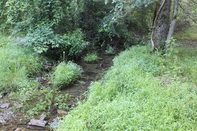 ract 1, 5+/- Acres Build Sites Near Shoal Bay Park Midwest Land - photo 44