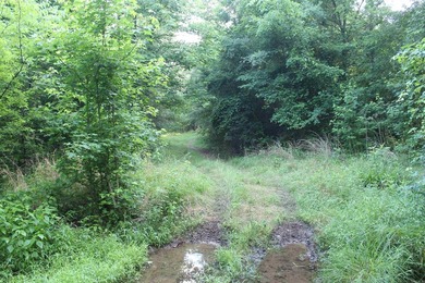 ract 1, 5+/- Acres Build Sites Near Shoal Bay Park Midwest Land - photo 45