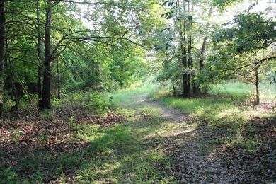 ract 1, 5+/- Acres Build Sites Near Shoal Bay Park Midwest Land - photo 46