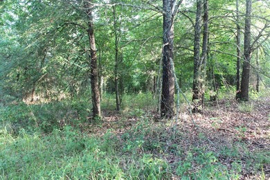 ract 1, 5+/- Acres Build Sites Near Shoal Bay Park Midwest Land - photo 47